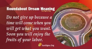Roundabout Dream Meaning