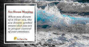 Sea Dream Meaning