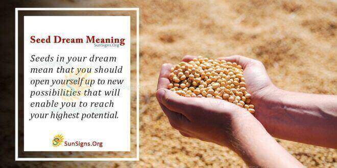 Seed Dream Meaning