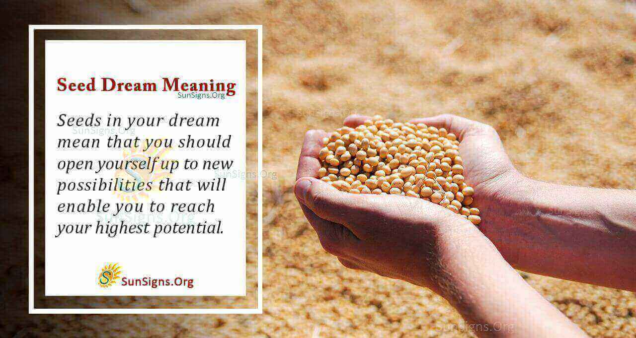 Dreaming Of Seeds Meaning, Interpretation And Symbolism