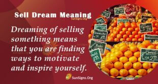 Sell Dream Meaning
