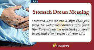 Stomach Dream Meaning