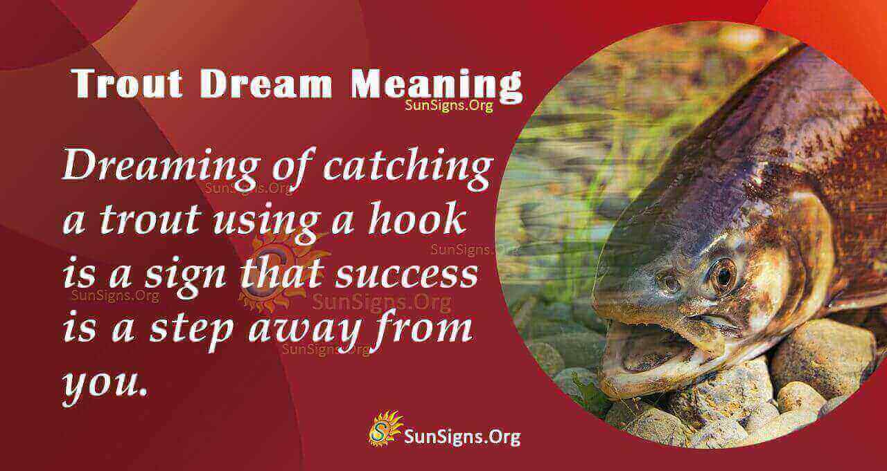 Sun Signs, Astrology And Everything Else You Will Love