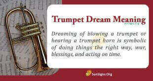 Trumpet Dream Meaning