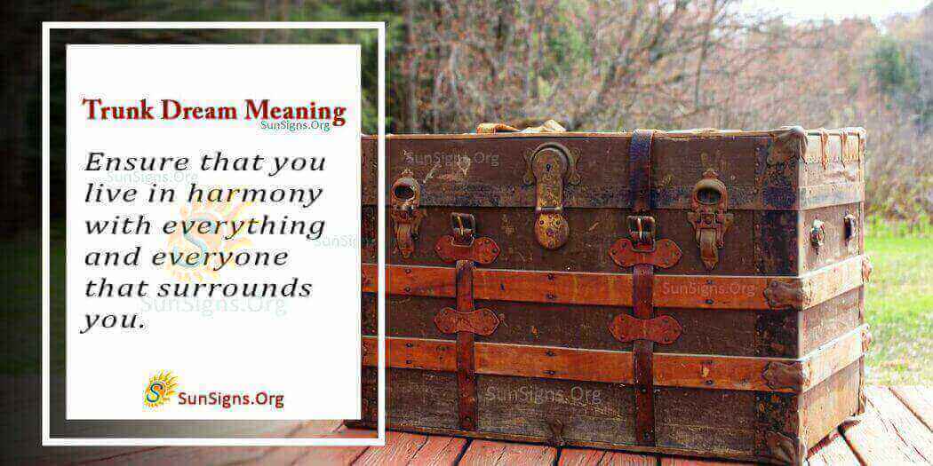 Dreaming Of A Trunk Meaning, Interpretation And Symbolism