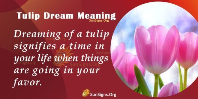 Tulip Dream Meaning