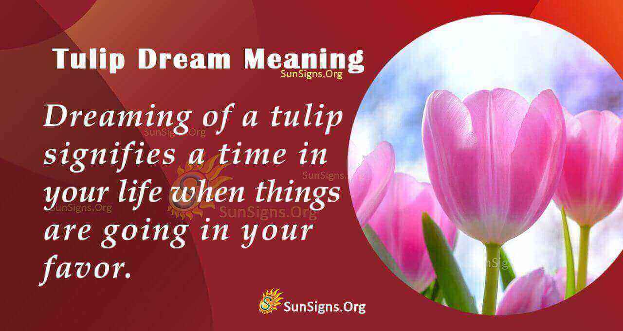 Seeing A Tulip In Your Dream Meaning, Interpretation And Symbolism
