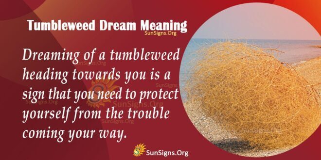 Tumbleweed Dream Meaning