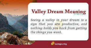 Valley Dream Meaning
