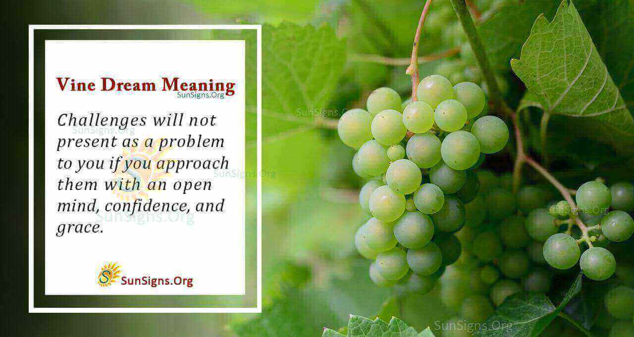Vines in Your Dream Meaning, Interpretation and Symbolism
