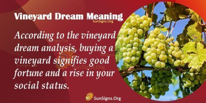 Vineyard Dream Meaning