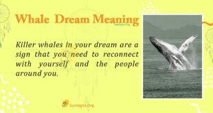 Whale Dream Meaning