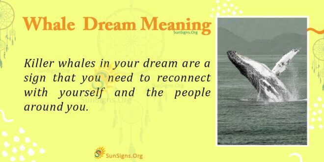 Whale Dream Meaning
