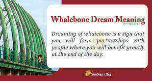 Whalebone Dream Meaning