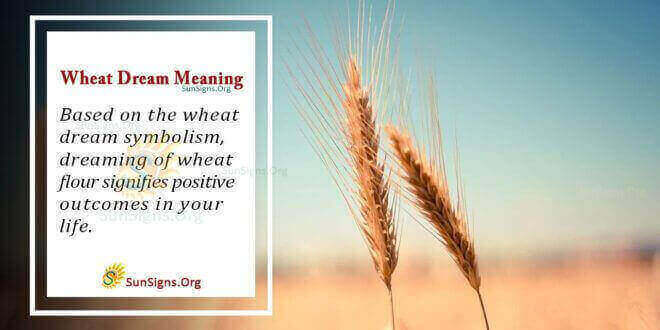 Wheat Dream Meaning