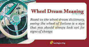 Wheel Dream Meaning