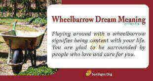 Wheelbarrow Dream Meaning