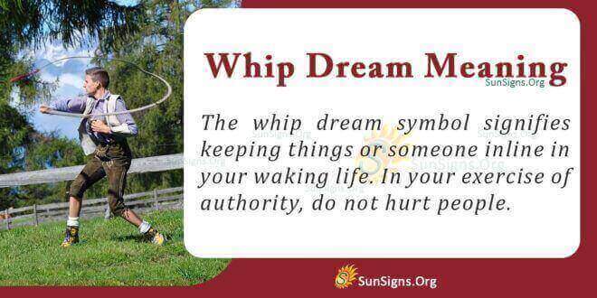 Whip Dream Meaning
