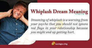 Whiplash Dream Meaning