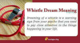 Whistle Dream Meaning