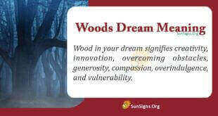 Woods Dream Meaning