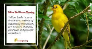 Yellow Bird Dream Meaning