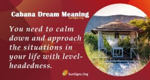 Cabana Dream Meaning
