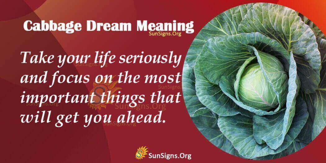 What Does It Mean To Dream About Cabbage? Interpretation And Symbolism