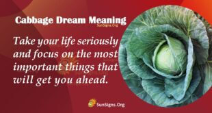 Cabbage Dream Meaning