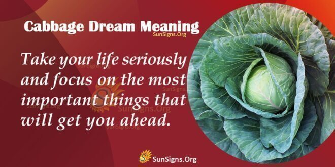 Cabbage Dream Meaning