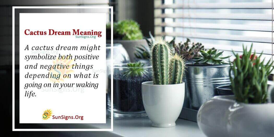 Cactus Dream Symbol Meaning, Interpretation and Symbolism