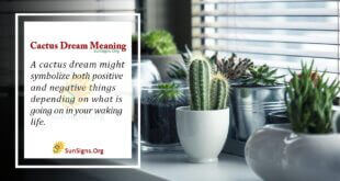 Cactus Dream Meaning