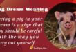 Pig Dream Meaning