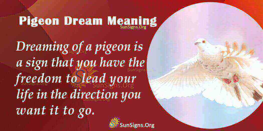 Pigeon Dream Symbol Meaning, Interpretation and Symbolism