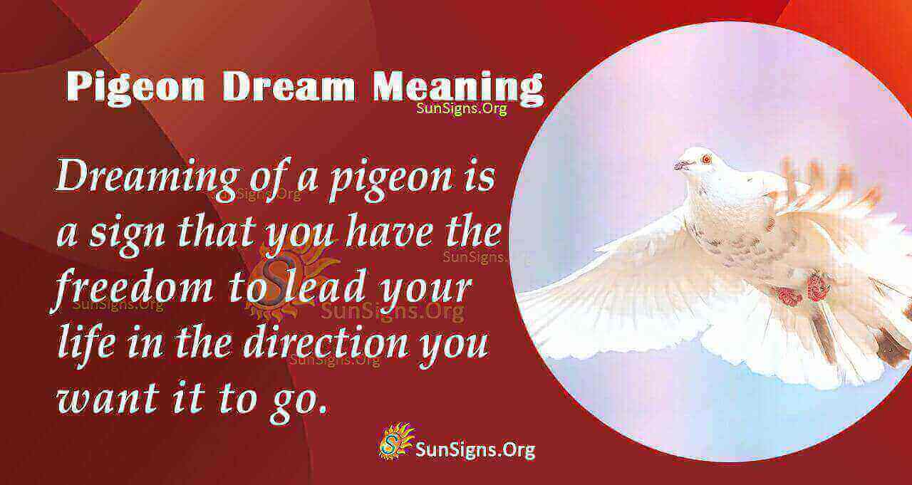 Pigeon Dream Symbol Meaning Interpretation And Symbolism SunSigns Org
