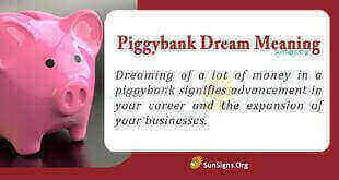 Piggybank Dream Meaning