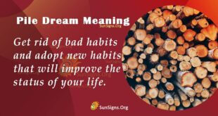 Pile Dream Meaning