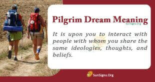 Pilgrim Dream Meaning