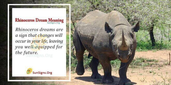 Rhinoceros Dream Meaning