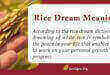 Rice Dream Meaning
