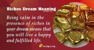 Riches Dream Meaning