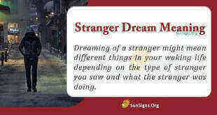 Stranger Dream Meaning