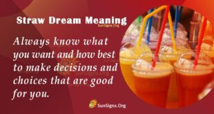 Straw Dream Meaning