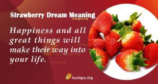Strawberry Dream Meaning