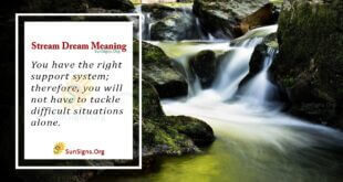 Stream Dream Meaning
