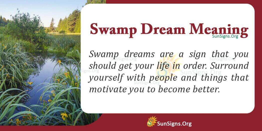 Seeing A Swamp In Your Dream Meaning, Interpretation And Symbolism