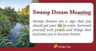 Swamp Dream Meaning