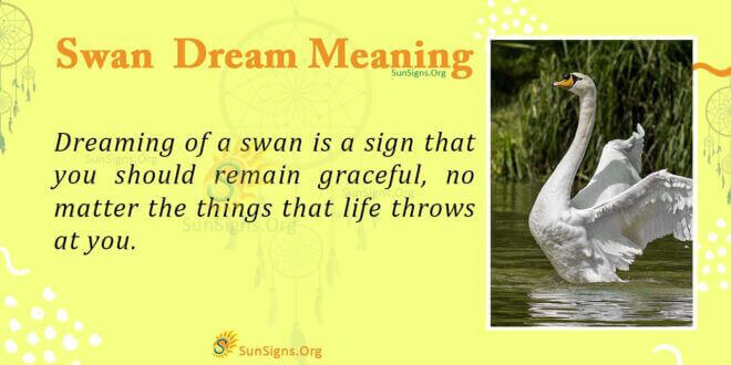 Swan Dream Meaning