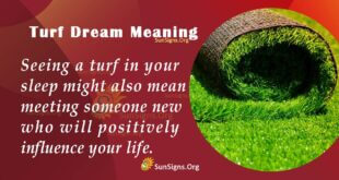 Turf Dream Meaning