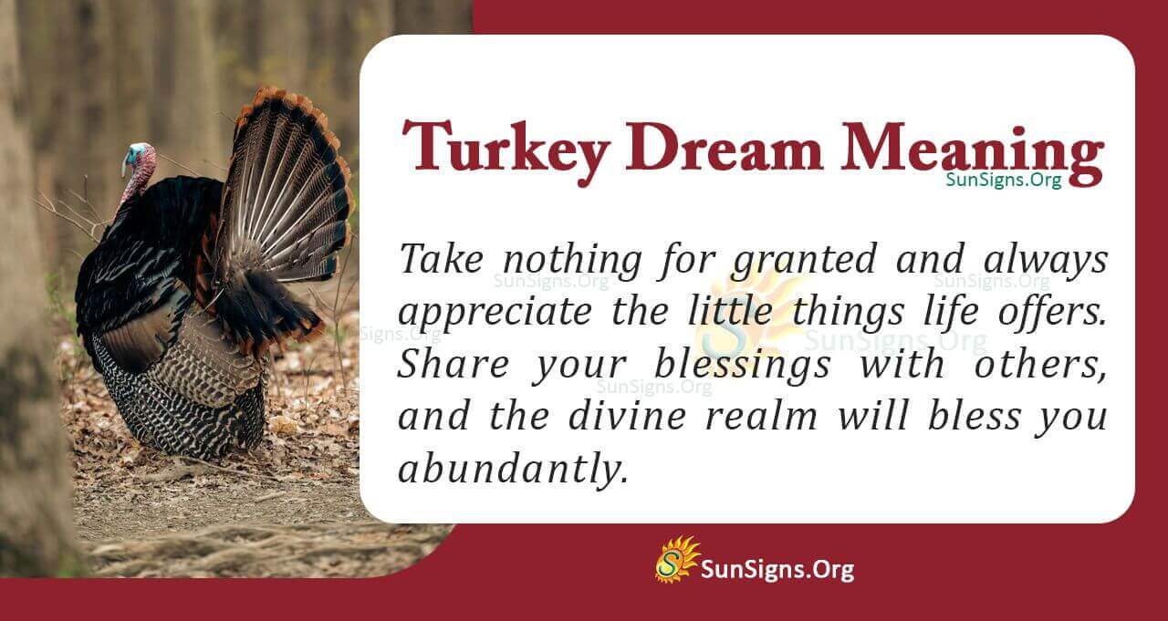 Dreaming Of A Turkey Meaning, Interpretation And Symbolism